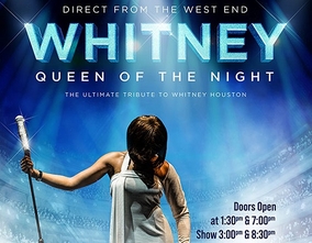 Espectáculo Benidorm Palace: Whitney - Queen of the Night